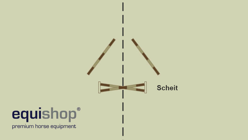 koń-skacze-na-skosGER